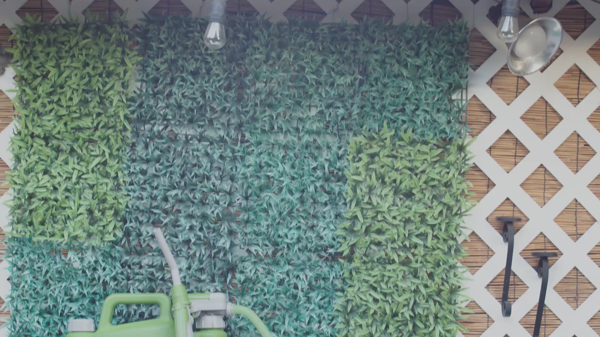 TRWC AA Battery Powered Watering Can, 2.5 Ft Hose TERA PUMP